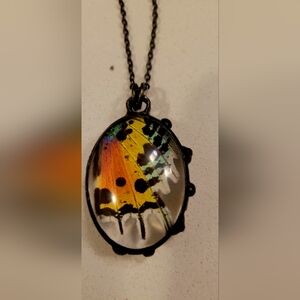 Vibrant Yellow and Black Butterfly Wing Necklace